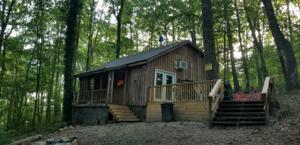 353 Neil Dr 