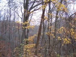 0 Pucketts Point Rd