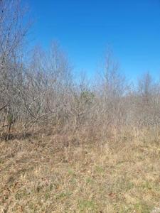 115 Warriors Path Ridge Rd