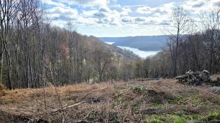 109 Deer Path Ct