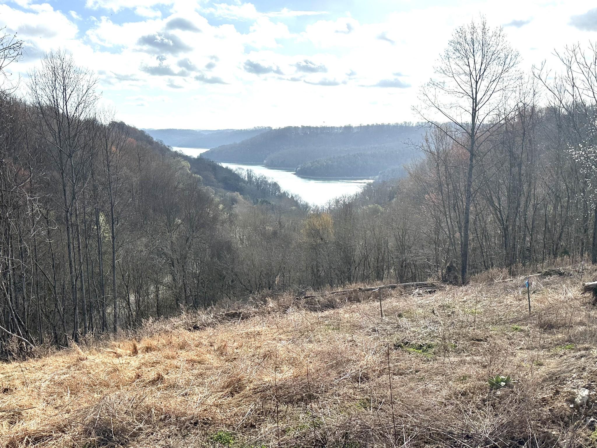Image 4 Image 4
