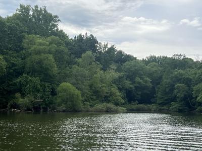 0 Beechwood Circle
