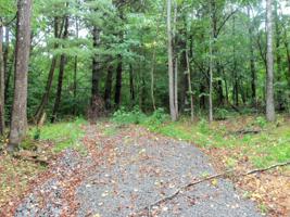 541 Forest Trl
