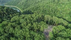 10 Pine Orchard Rd