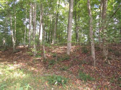 10 ac Old Antioch Rd