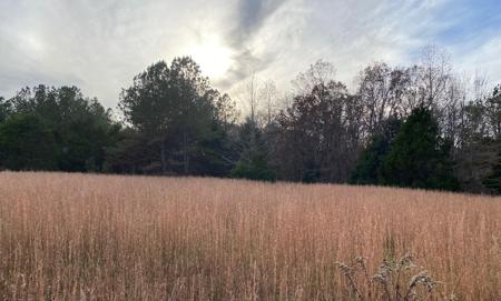 0 Meadowview Lane