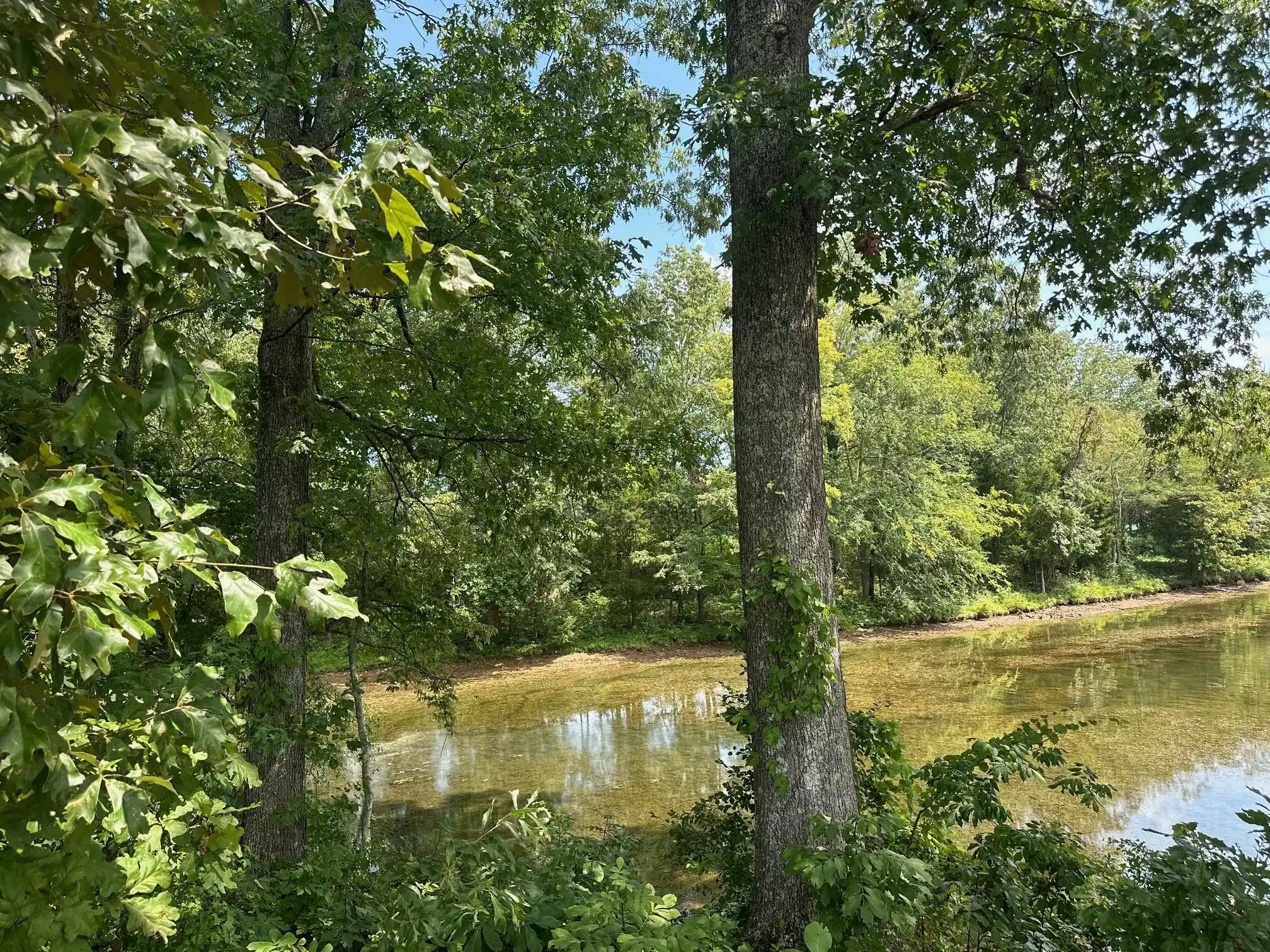 Image 1 Image 1