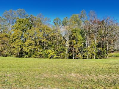 0 Goff Ridge Rd