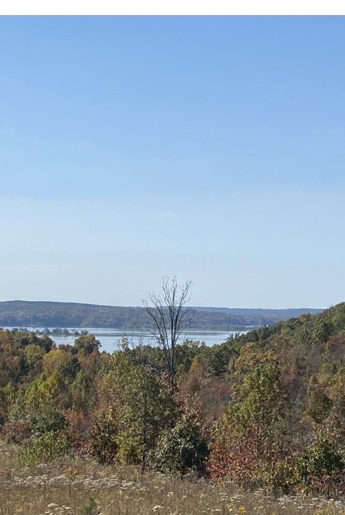 Image 1 Image 1