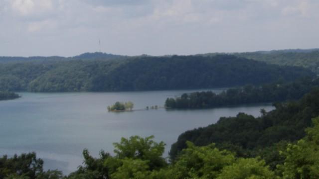 Image 1 Image 1