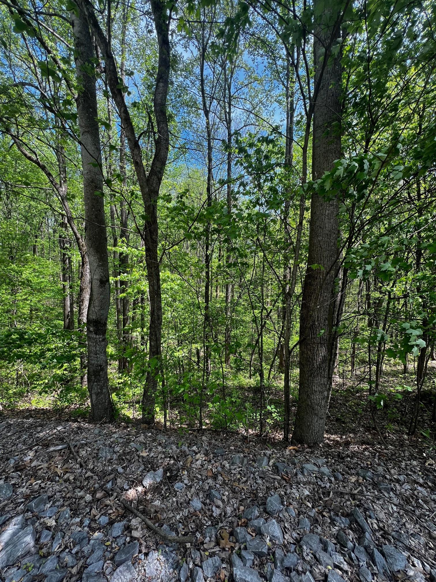 Image 3 Image 3
