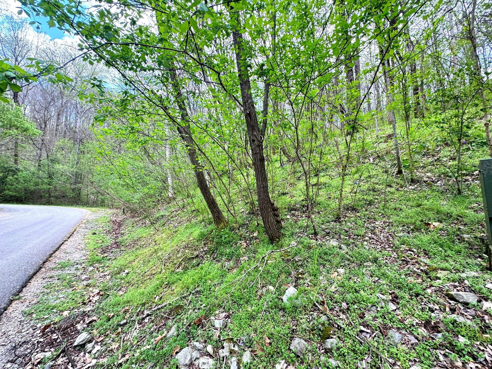 Image 1 Image 1