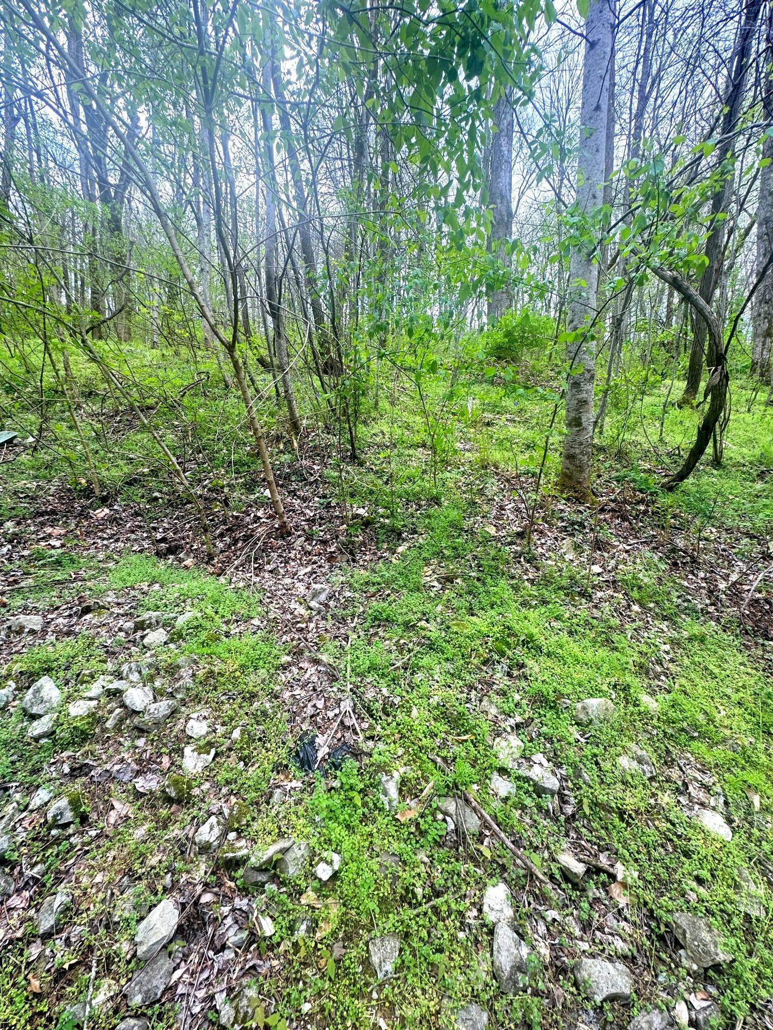 Image 2 Image 2