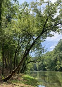 0 Hidden River Road