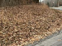 0 Crestview Dr