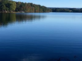 0 Dry Fork Dr Lot 58