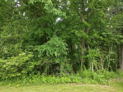 0 Hickman Shores Rd