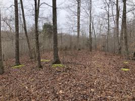 6 Coves Pointe RD