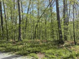 0 Perryville Estates Lane