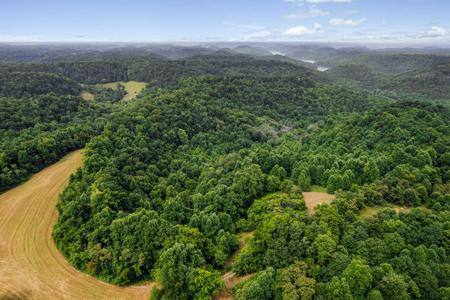 0 Dale Ridge Rd