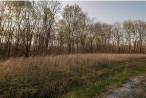 0 Lakehaven Drive Lot # 4