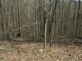 0 HUNTERS LANDING LANE