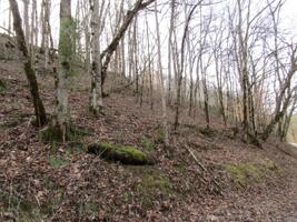 0 Free Hill River Road