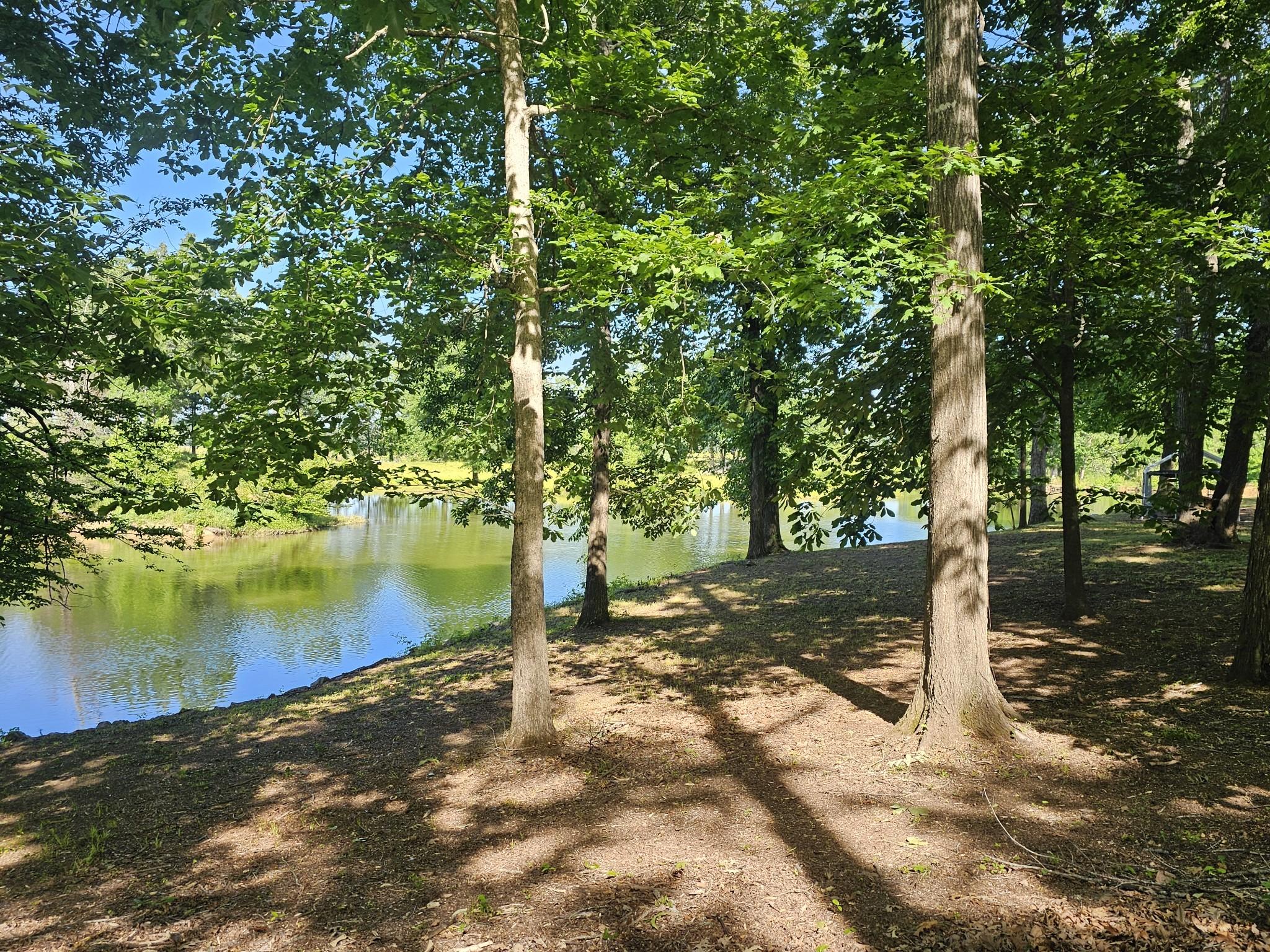 Image 4 Image 4