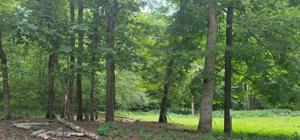 0 Johnsons Ridge Rd