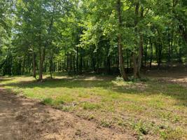 135 Dillehay Hollow Rd