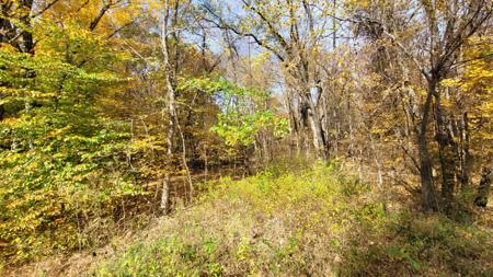 408 Leatherwood Lake Rd