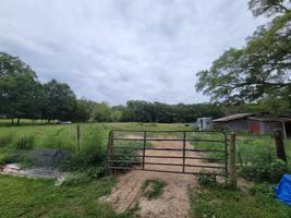0 Old Estill Springs Rd