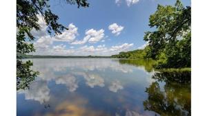 74 Beechtree Cir