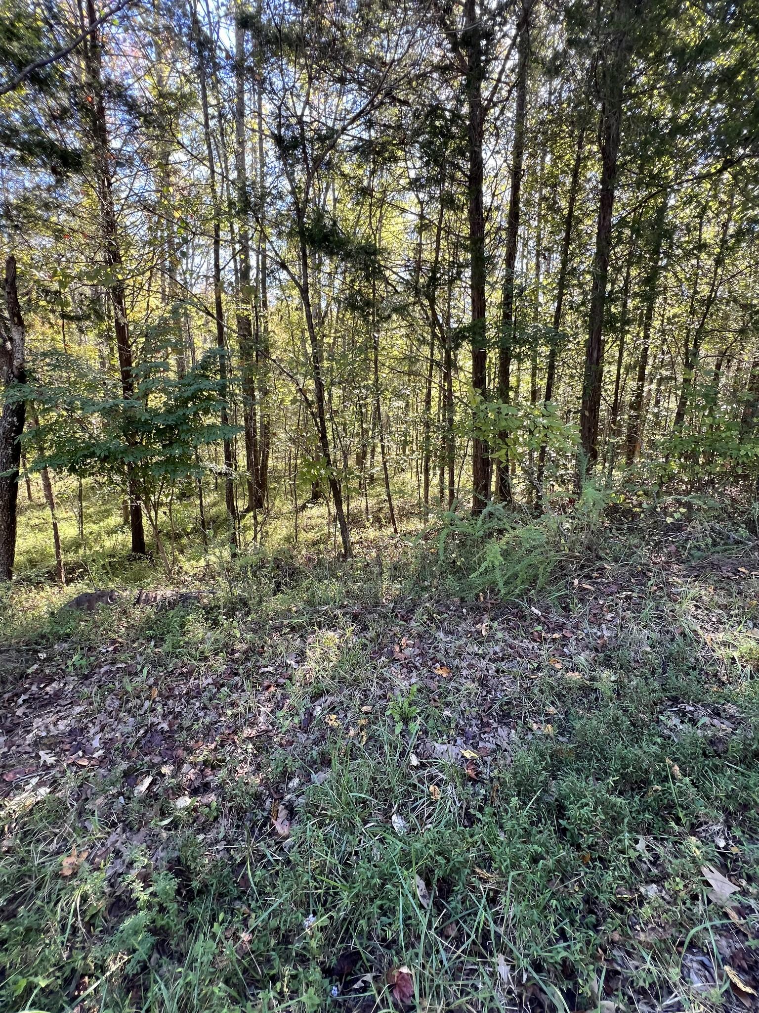 Image 4 Image 4
