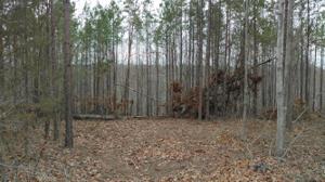 36 Antler Dr