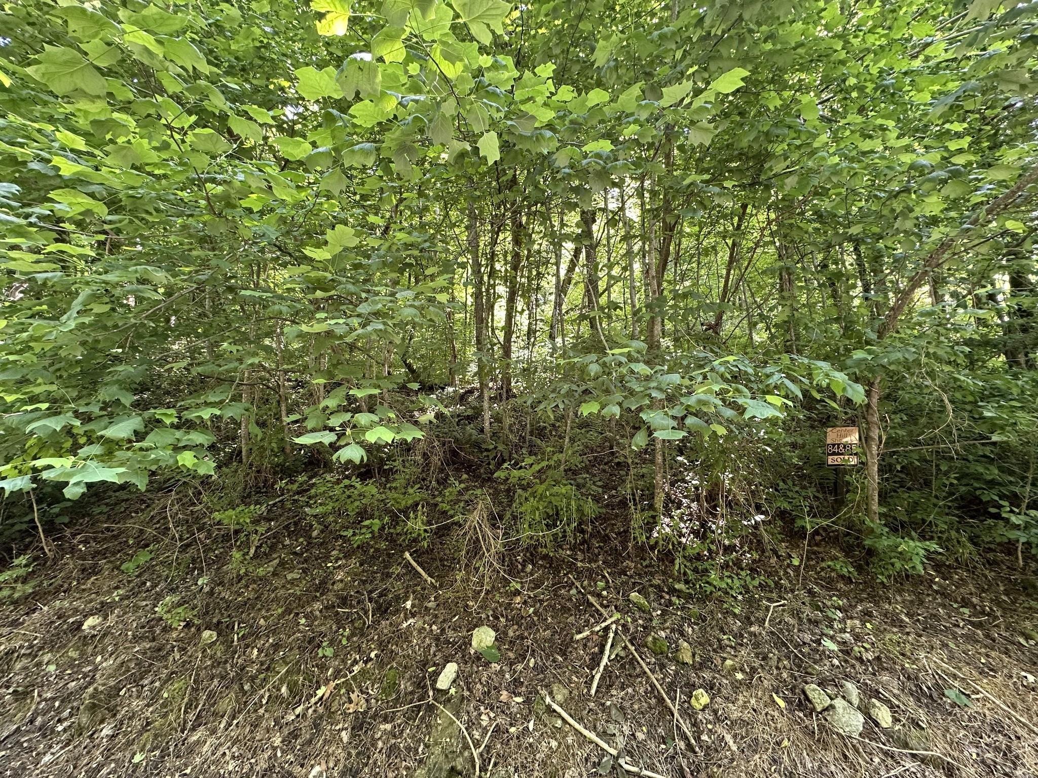 Image 3 Image 3