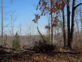 10 .03 Ac. Thunder Bay Trail