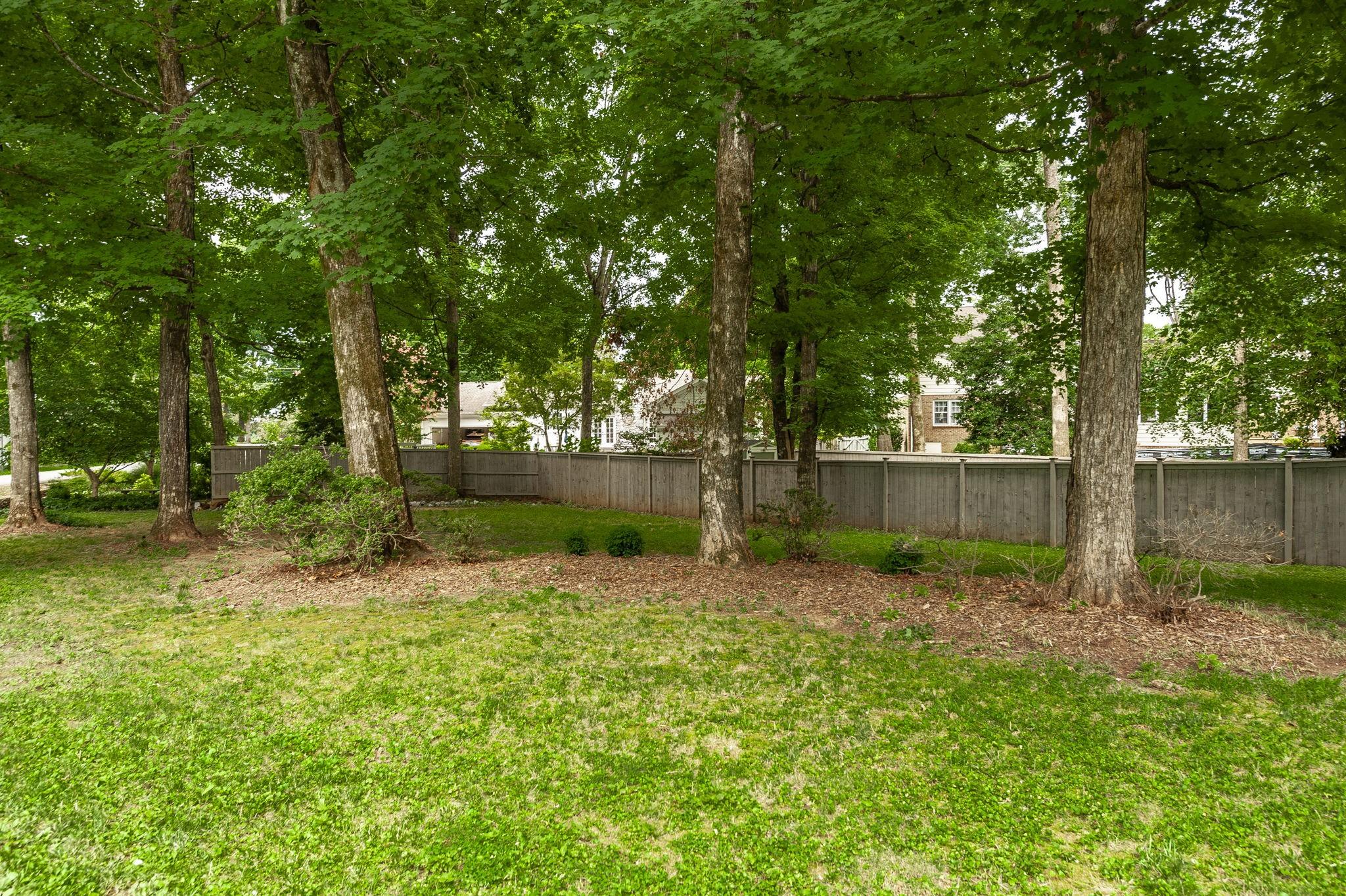 Image 4 Image 4
