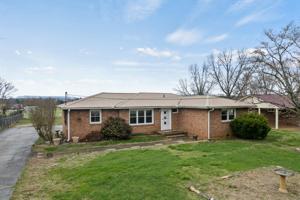119 Spring Hill Dr