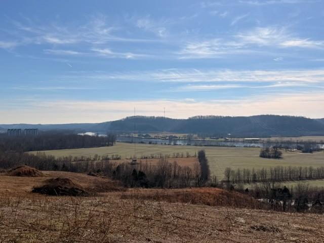 Image 1 Image 1