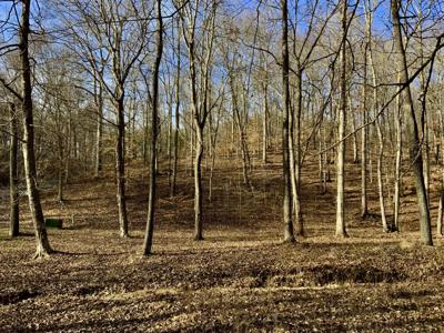 0 Forrest Crossing
