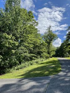 149 Rutherford Ln