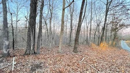 0 East Dogwood Rd