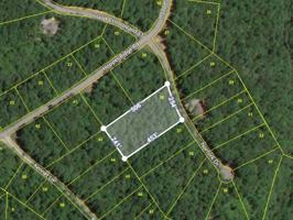 38 Norfolk Dr