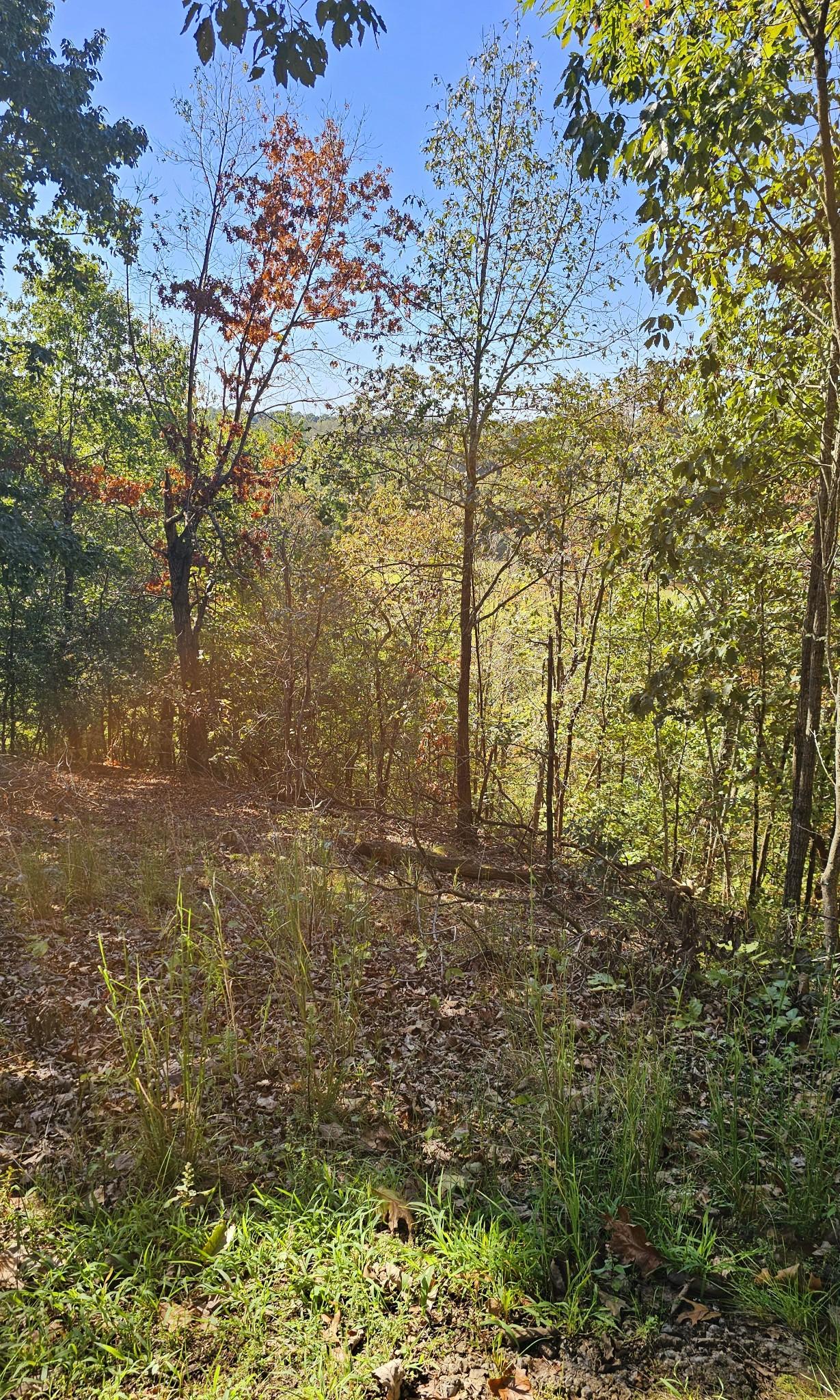 Image 3 Image 3