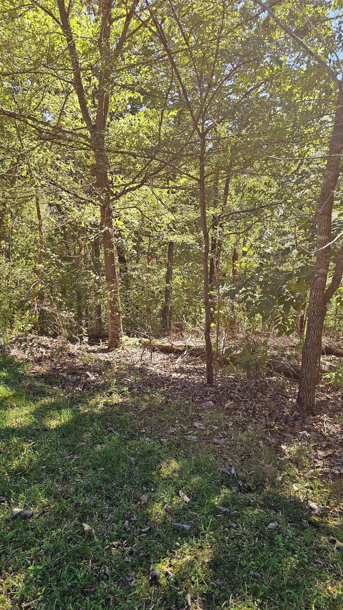 Image 4 Image 4