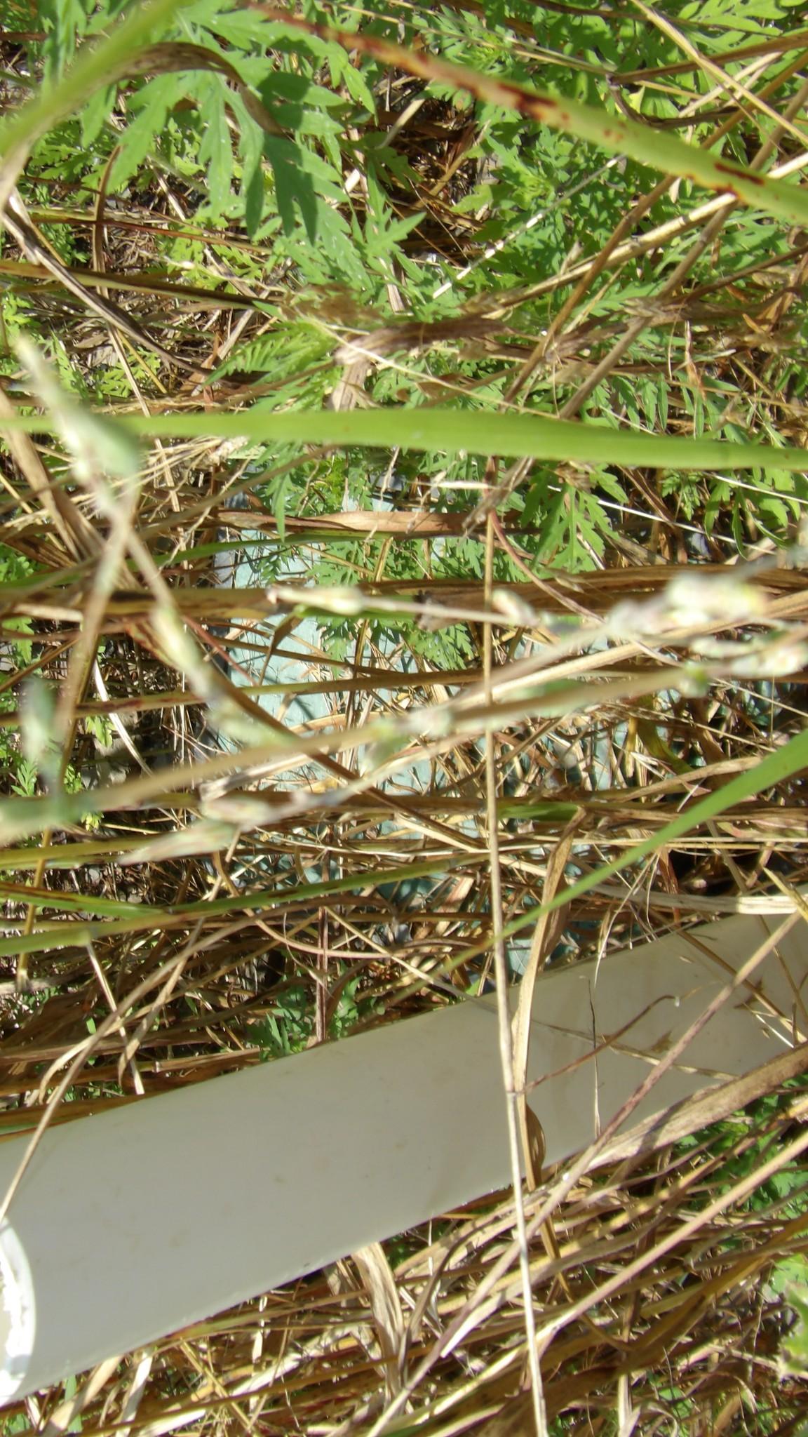 Image 3 Image 3