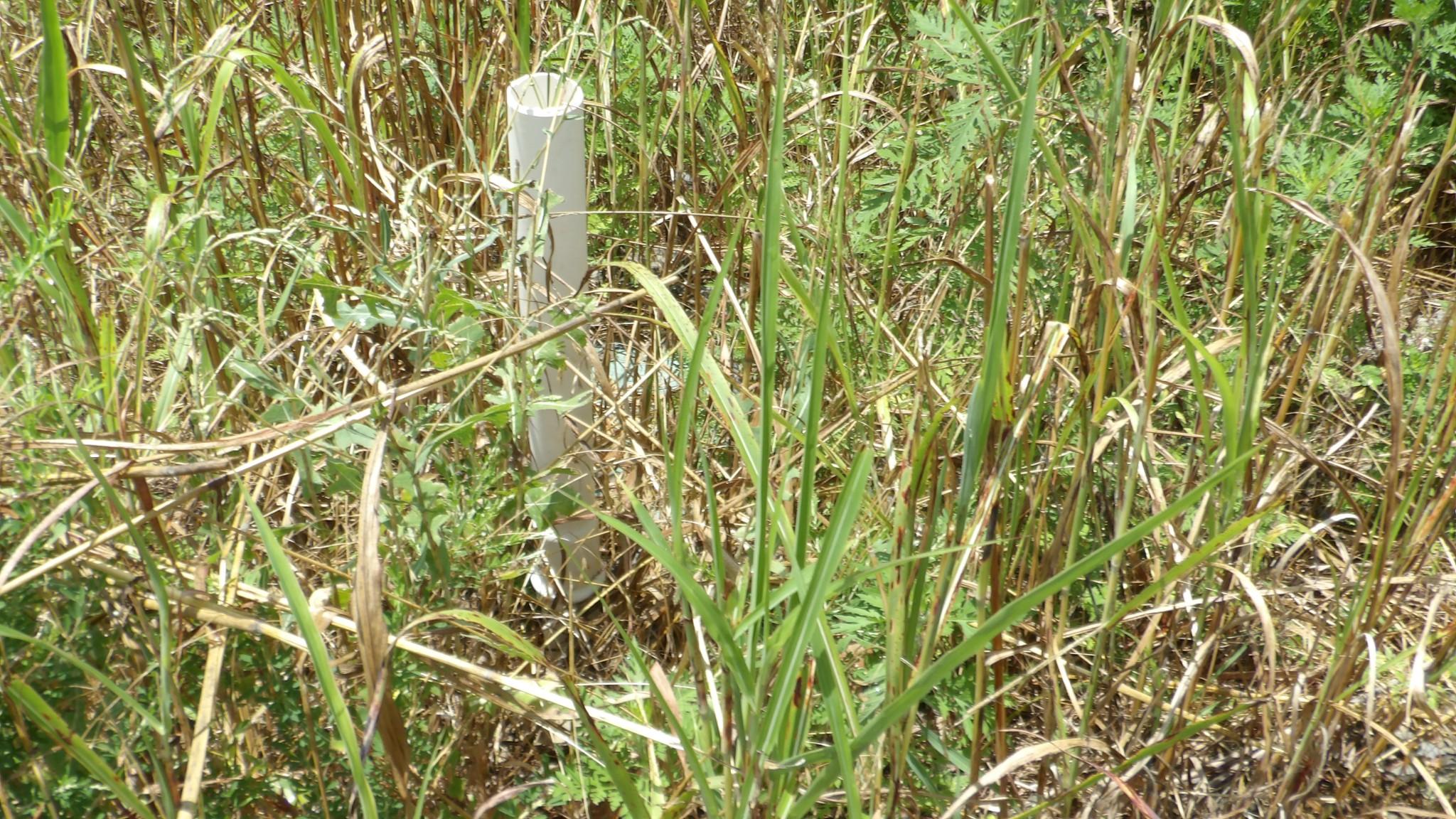 Image 4 Image 4