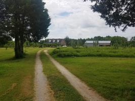 715 Stone Rd