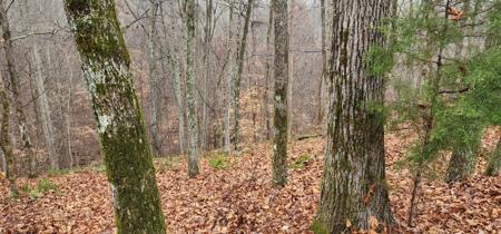 0 Mountain Harbor Trace